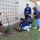 Eine Delegation von fünf jungen Erwachsenen aus Bolivien setzte hinter der Dombibliothek drei Wildrosen ein.