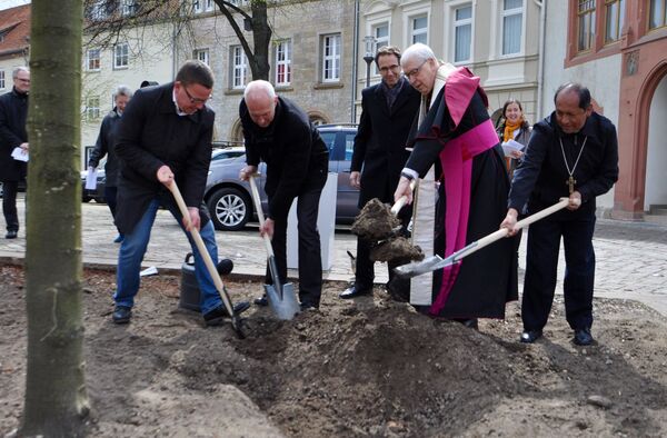 Bischof Norbert Trelle und Bischof Ricardo Centellas aus Potosí/Bolivien haben heute auf dem Hildesheimer Domhof eine Kaiserlinde angepflanzt.