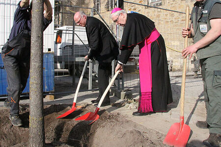 Evangelisch-lutherische Landeskirchen pflanzen Baum auf dem Domhof, 08.03.2014