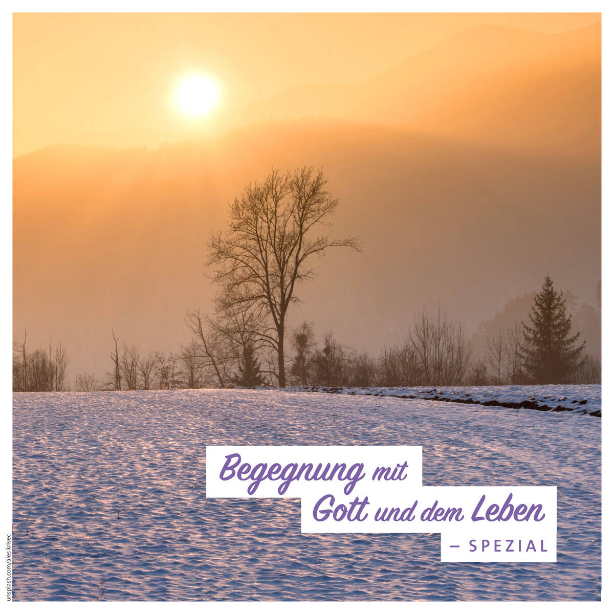 Titelmotiv der "Begegnung mit Gott und dem Leben - spezial": Landschaft mit leichtem Schnee und diffusem Sonnenlicht