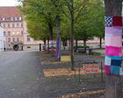 Am Montag bot sich auf dem Domhof ein besonderer Anblick: umhäkelte Bäume, ein Schlauchboot, Rollrasen und Pflanzen auf den Pflastersteinen. Dazu bunte Plakate mit aufrüttelnden Botschaften zur Klimakrise.