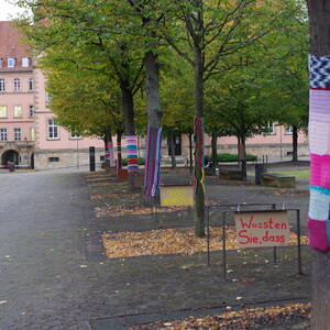 Am Montag bot sich auf dem Domhof ein besonderer Anblick: umhäkelte Bäume, ein Schlauchboot, Rollrasen und Pflanzen auf den Pflastersteinen. Dazu bunte Plakate mit aufrüttelnden Botschaften zur Klimakrise.