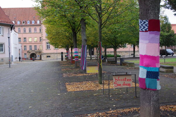 Am Montag bot sich auf dem Domhof ein besonderer Anblick: umhäkelte Bäume, ein Schlauchboot, Rollrasen und Pflanzen auf den Pflastersteinen. Dazu bunte Plakate mit aufrüttelnden Botschaften zur Klimakrise.