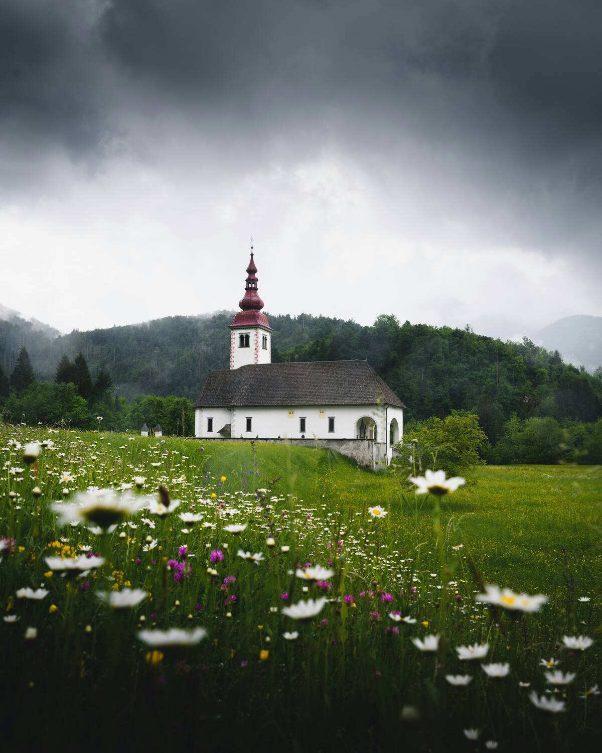 Ökologie im Kirchenjahr. Wort-Gottes-Feiern schöpfungsgerecht