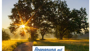Titelmotiv "Begegnung mit Gott und dem Leben - spezial" (Fastenzeit 2023) - Bäume im Gegenlicht des Sonnenscheins