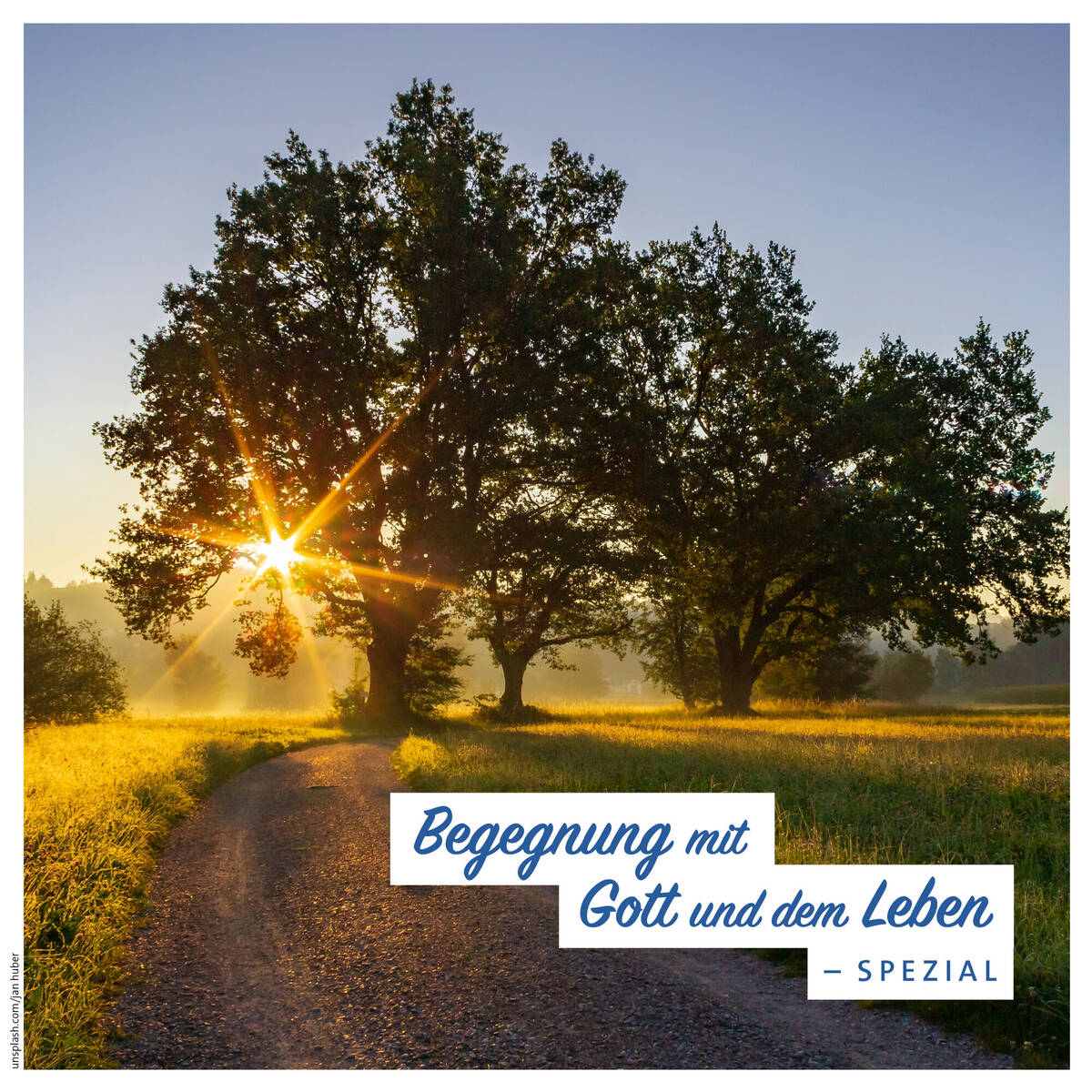 Titelmotiv "Begegnung mit Gott und dem Leben - spezial" (Fastenzeit 2023) - Bäume im Gegenlicht des Sonnenscheins