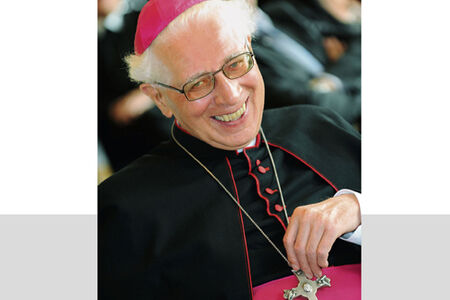 Biographie Bischof Homeyer - Buchcover