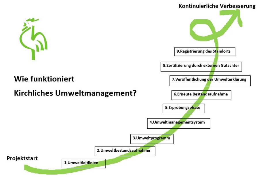 Projektablauf und einzelnen Schritte "Grüner Hahn"