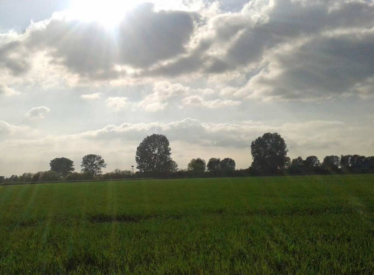 Blick auf eine sonnige Naturlandschaft