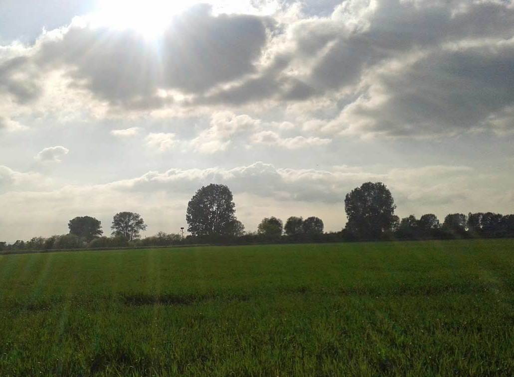 Landschaft Blick auf eine sonnige Naturlandschaft