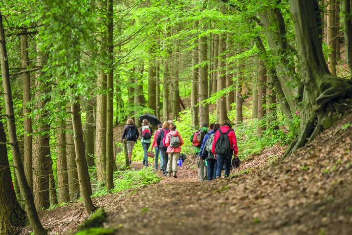 Eine Gruppe Wanderer in einem Wald