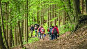 Eine Gruppe Wanderer in einem Wald