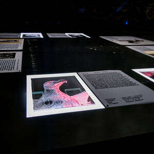 Ausstellung Fotos Dommuseum, Ausstellung Fotos Dommuseum