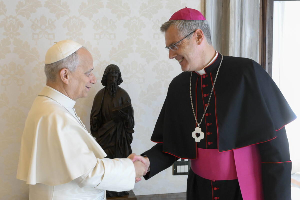 Papst Leo XIV. begrüßt Bischof Dr. Heiner Wilmer mit Handschlag. 