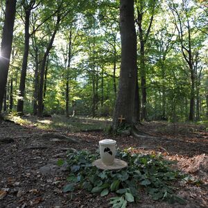 Eine biologisch abbaubare Urne steht an einem Mustergrab im Friedwald im Steigerwald östlich von Würzburg.
