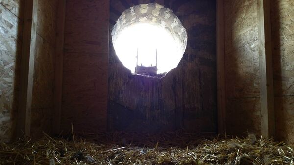 Das Uhu-Nest im Hildesheimer Dom ist verlassen.