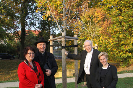 Luthergarten Wittenberg; Baumpatenschaft