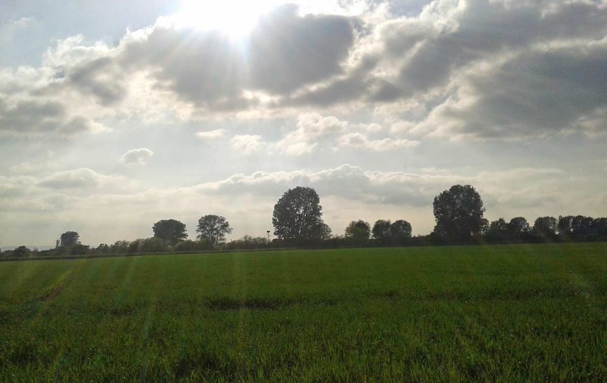 Blick auf eine sonnige Naturlandschaft